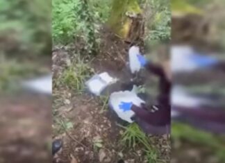 Substanțe interzise în valoare de 5 milioane descoperite la Durlești
