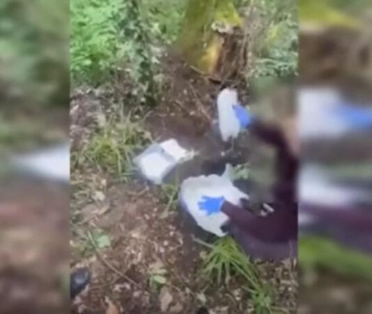 Substanțe interzise în valoare de 5 milioane descoperite la Durlești
