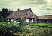 De la Durlești la Edineț: Povestea unui tânăr care și-a găsit liniștea la sat